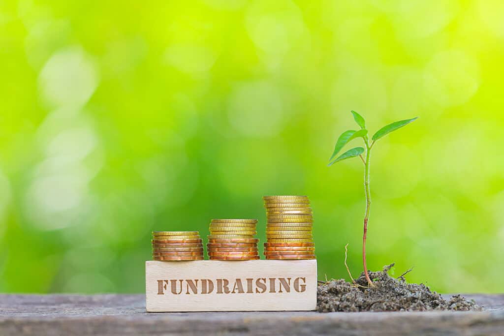 Bespoke Mandates Move From Niche to Necessity in PE Fundraising