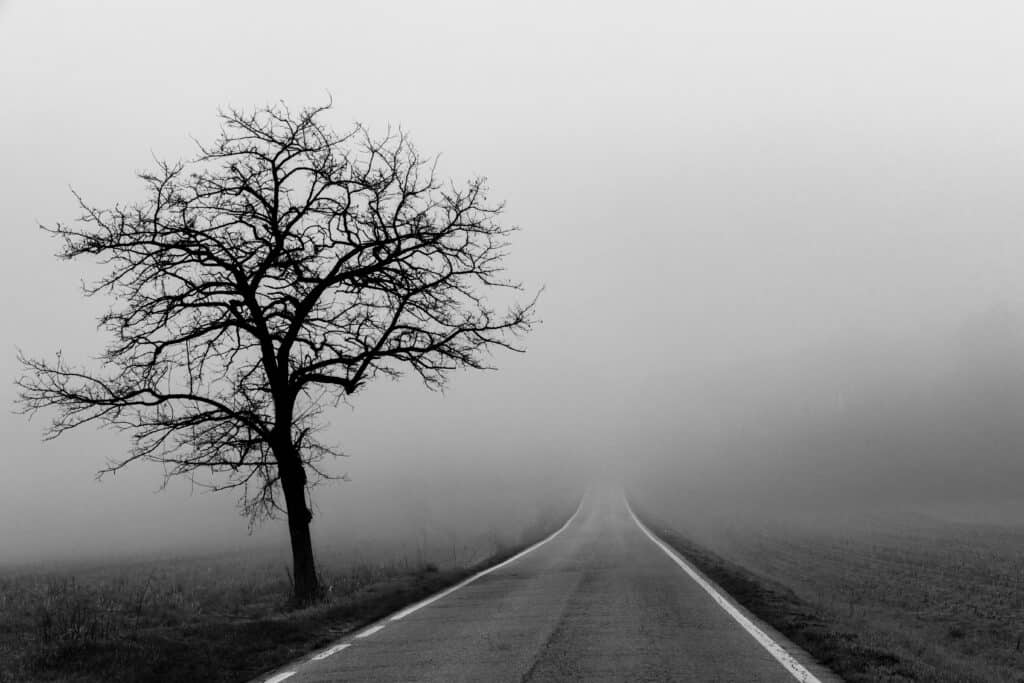 Road to nothing