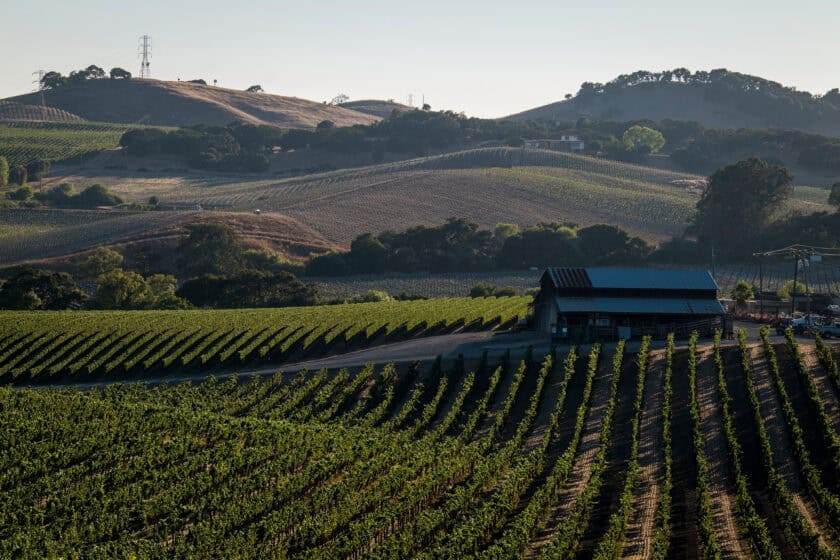 Vineyards in Napa, California