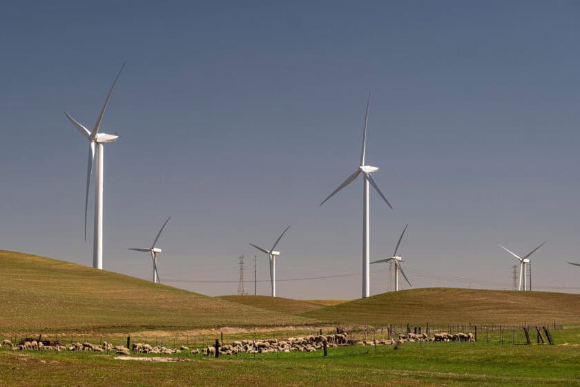 Sheep graze near wind turbines at a wind farm near Highway 12 in Rio Vista, California