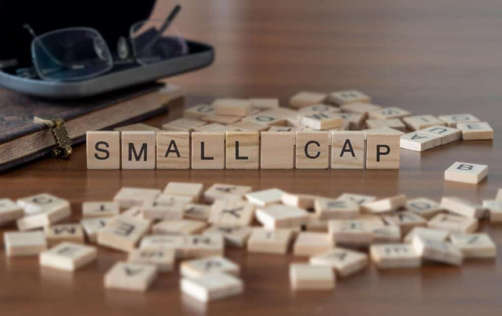 Small cap funds