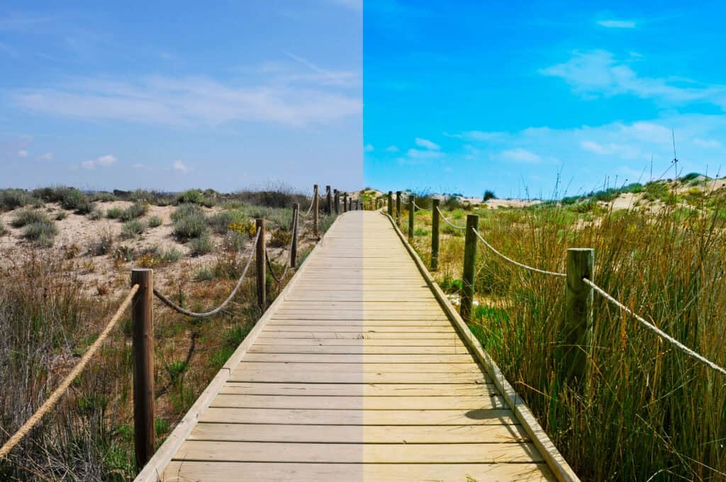 before and after the image editing